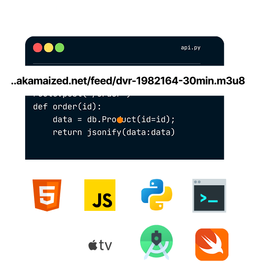 Custom API for developers in Livepush to automate HLS live streaming workflows, security, and analytics.
